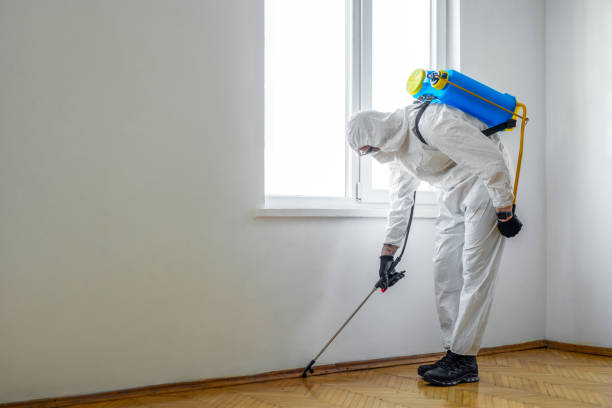 Best Commercial Pest Control  in Key Center, WA